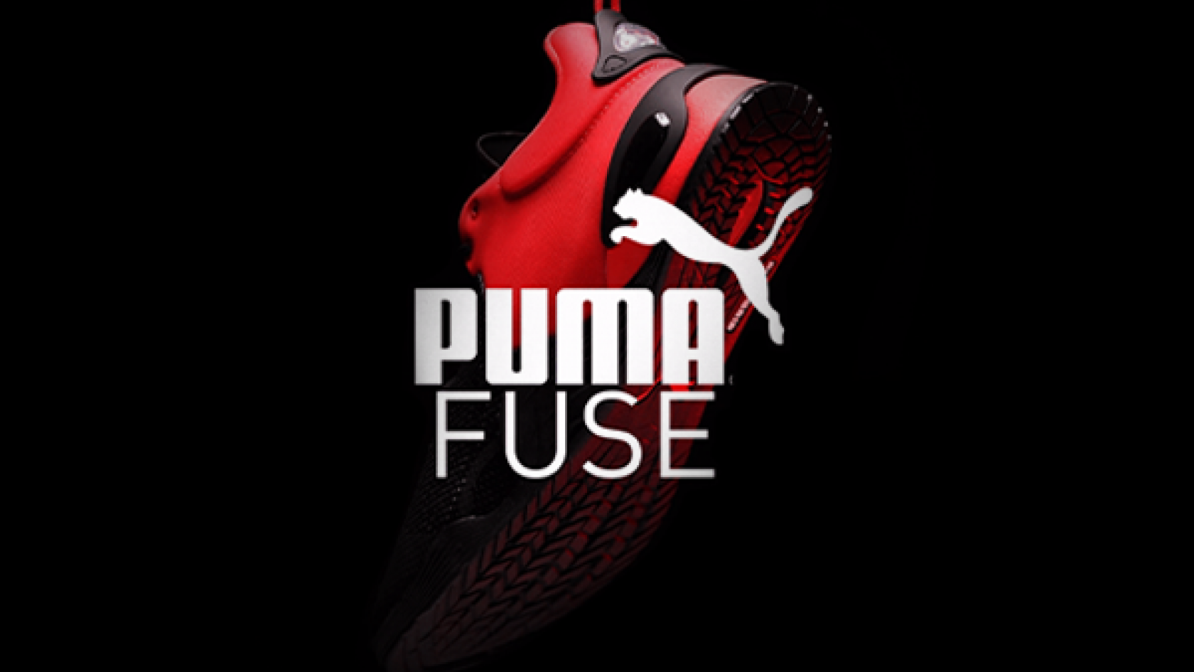 PumaFuse Website2
